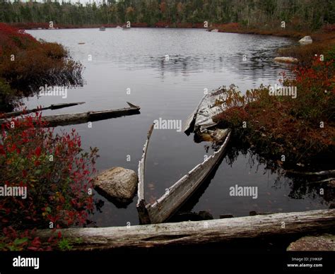 Sunken pond hi-res stock photography and images - Alamy