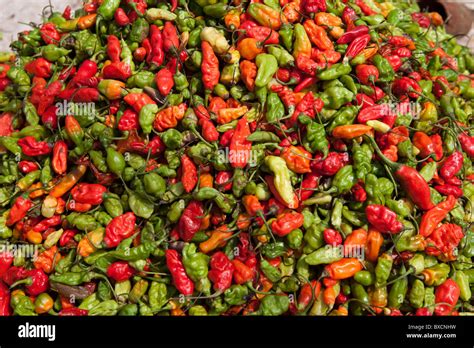 Hot peppers are for sale in a market in Freetown, Sierra Leone, West Africa Stock Photo - Alamy