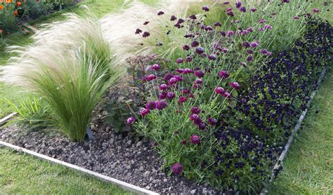 Ornamental Grasses Landscape Borders