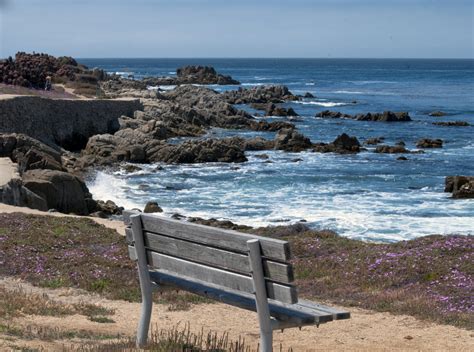 Bench At The Bay Free Stock Photo - Public Domain Pictures