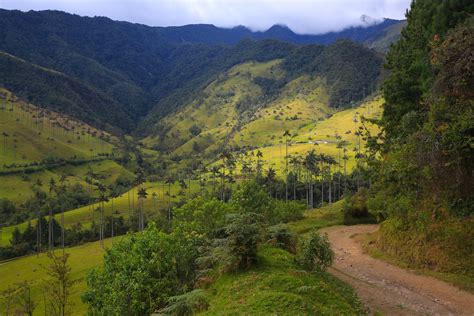 Coffee and hot springs in the Colombian highlands - Song of the Road