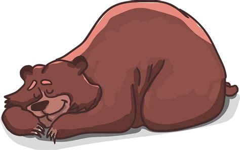 Sleeping bear clipart. Free download transparent .PNG | Creazilla