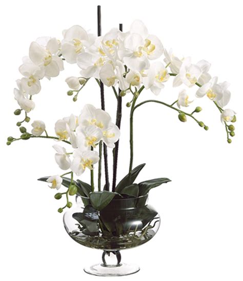 Cream Orchids in Clear Glass Vase Faux Flowers | LampsPlus.com Orchid ...