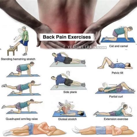 Back Exercises: Lower Back Exercises For Pain