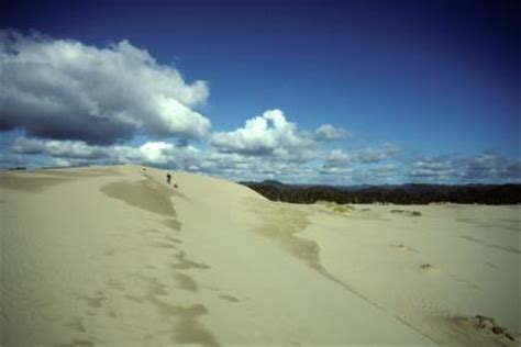 Oregon Dunes Camping | LoveToKnow