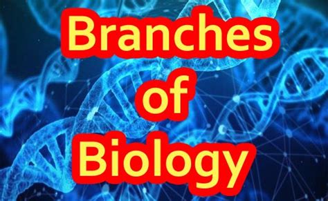 Branches of Biology - Exam Canvas