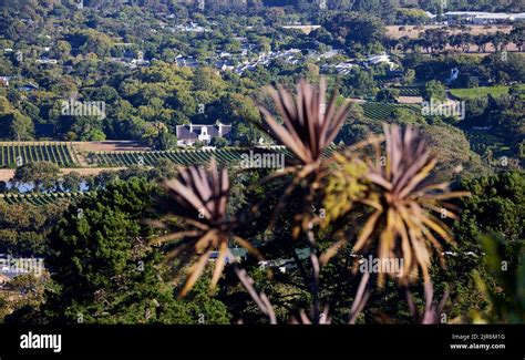 The Wine Estate Groot Constantia in Constantia, Cape Town, South Africa ...