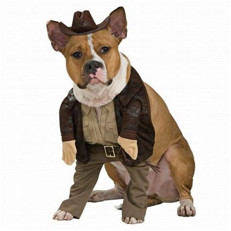 Dog Costumes Inspired by Movies