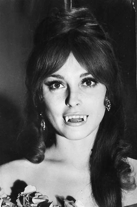 Sharon Tate, The Fearless Vampire Killers, 1966 | Laura Loveday | Flickr
