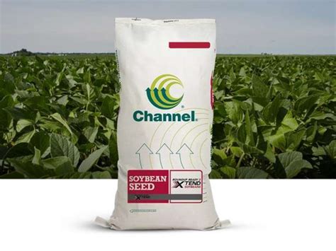 (10) Bags - Channel Seed Xtend Soybeans - Gavel Roads Online Auctions