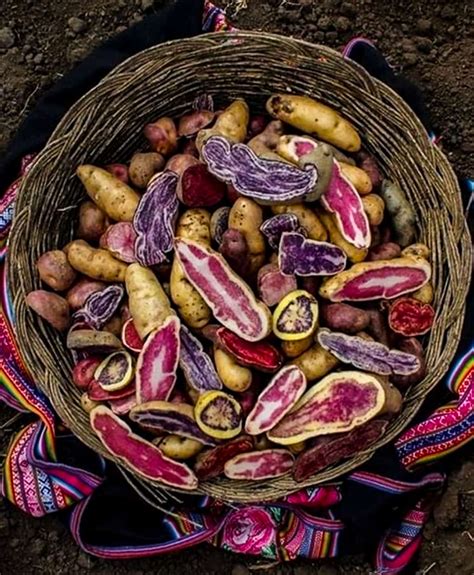 Papas Andinas Del Perú | Papas Andinas Ultra Premium