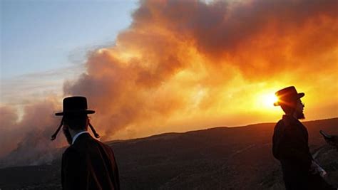 Israel forest fire leaves 40 dead | CBC News