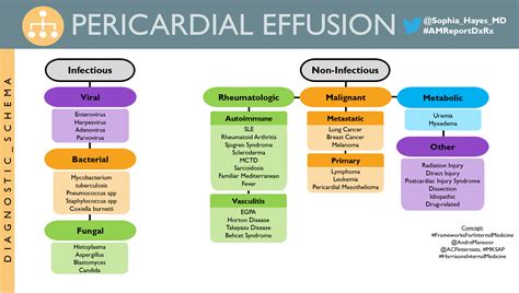 Pericarditis And Pericardial Effusions Causes Symptoms Diagnosis | The Best Porn Website