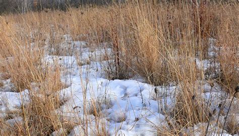 Journal for March 16, 2009 | Prairie Haven