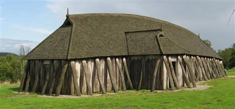 Viking homes