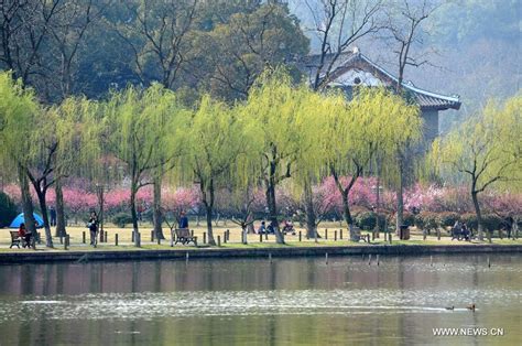 Early spring sceneries in Hangzhou - China.org.cn