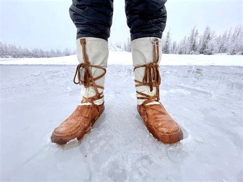 Can Dogs Walk In Snow Barefoot