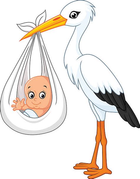 Best Stork Delivering Baby Illustrations, Royalty-Free Vector Graphics & Clip Art - iStock