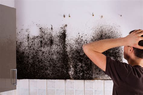 10 Common Causes of Mold in Homes