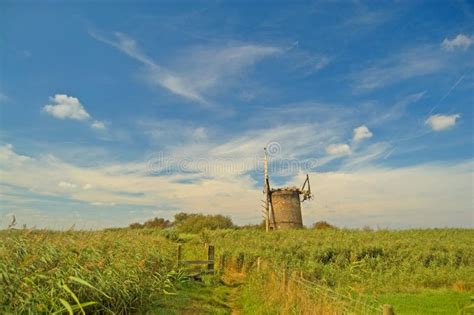 Landscape of the fens stock image. Image of fens, grass - 11199879