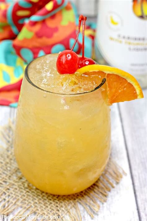 Bacardi White Rum Punch Recipes | Dandk Organizer