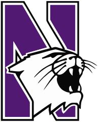 Archivo:Northwestern wildcats CMKY 80 100 0 0.svg - Wikipedia, la enciclopedia libre