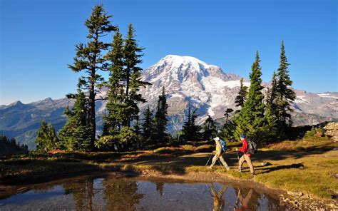 Mount Rainier National Park, Washington State • Explorer Sue - Your ...