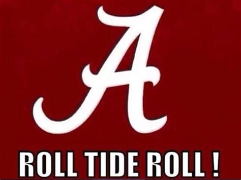 Pin by H. Allen on Bama | Alabama crimson tide, Crimson tide, Alabama crimson tide football