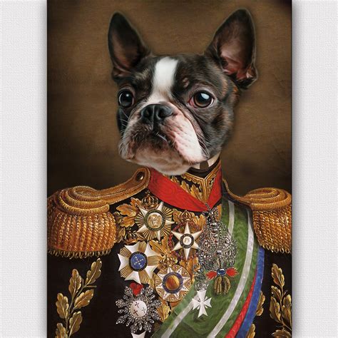 Pet portraits - rulesdop