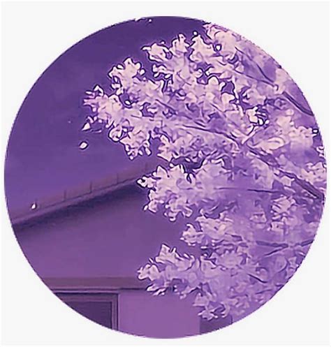 Purple Aesthetic Anime PFP