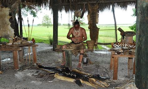 Boggy Creek Airboat Adventures - Boggy Creek Airboat Adventures | Groupon