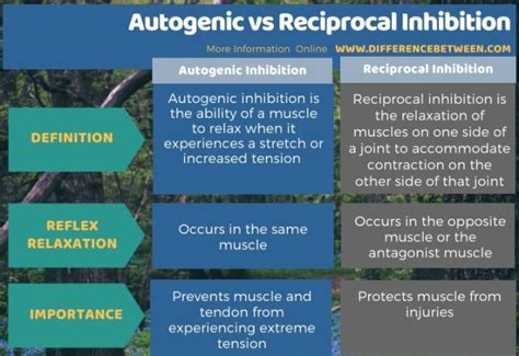 Difference Between Autogenic and Reciprocal Inhibition | Compare the Difference Between Similar ...