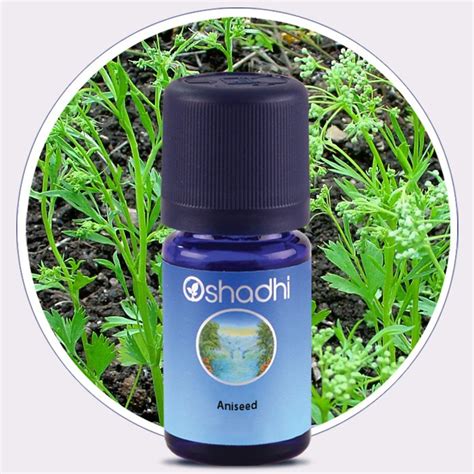 Aniseed Essential Oil - Oshadhi Essential Oils