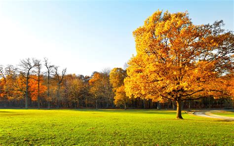 garden, Landscape, Nature, Panorama, Autumn, Trees, Beautiful Wallpapers HD / Desktop and Mobile ...