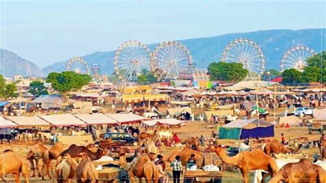 Glorious Tales: Experience the Essence of Pushkar Camel Fair 2023 | Rajasthan Yatra Blog