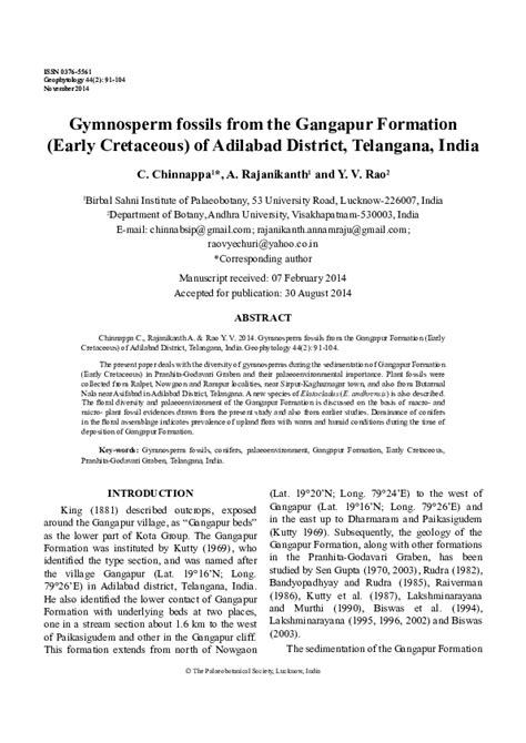 (PDF) GYMNOSPERM FOSSILS FROM THE GANGAPUR FORMATION (EARLY CRETACEOUS ...