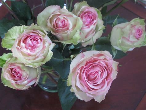 ...Make It With Me: Beautiful Pink and Green Roses.