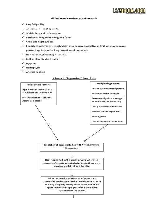 Tuberculosis_TB_ Pathophysiology _ Schematic Diagram | Tuberculosis | Necrosis