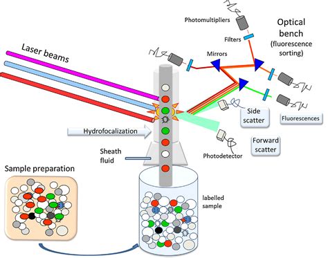 Flow Cytometry Figure