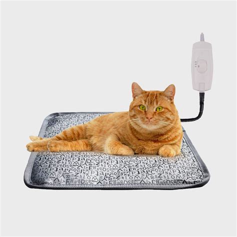 9 Best Heated Cat Beds | The Family Handyman