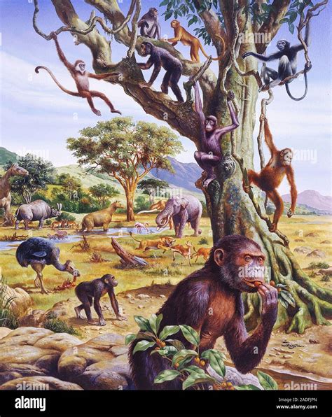 Prehistoric animals. Artwork of animals that lived in the Oligocene (34 to 23 million years ago ...