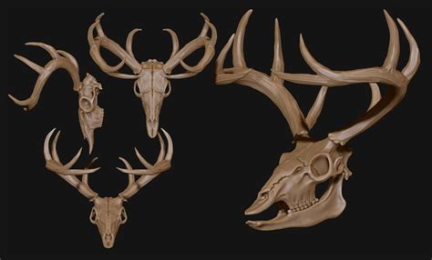 3D Printed Deer Skull - CNC and 3D print model by TheGoodBrick | Pinshape