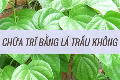 How to treat hemorrhoids at home with betel leaves? | Vinmec