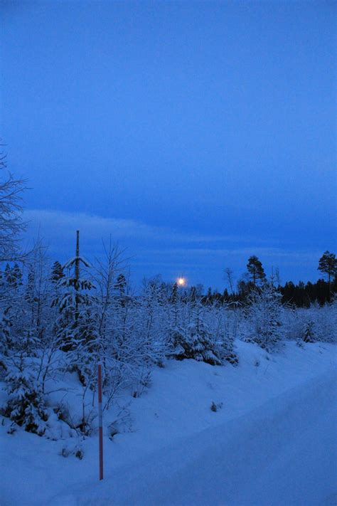 thesoftestcloud:christmas eve sunrise and sunset, 9:10am / 2:27pm