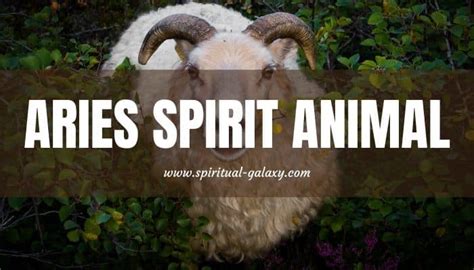 Aries Spirit Animal: The Fierce Animals - Spiritual-Galaxy.com