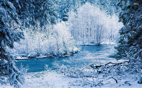 Ice Forest Wallpapers - Top Free Ice Forest Backgrounds - WallpaperAccess