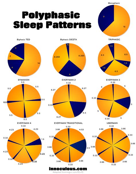 Polyphasic Sleep | Sleep funny, Sleep pattern, Sleep cycle