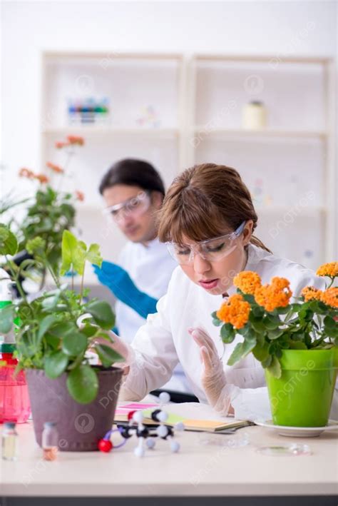 The Two Young Botanist Working In The Lab Two Young Botanist Working In ...