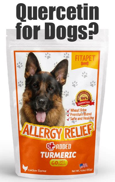 Fitapet Natural Allergy Relief: Quercetin for Dogs - Does it Work?