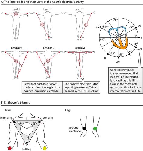 Pin on medical